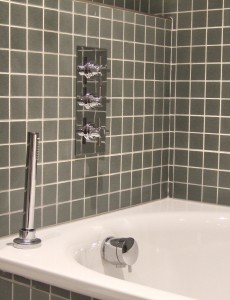 Thermostatic shower valve controlling a pull out shower and bath overflow filler