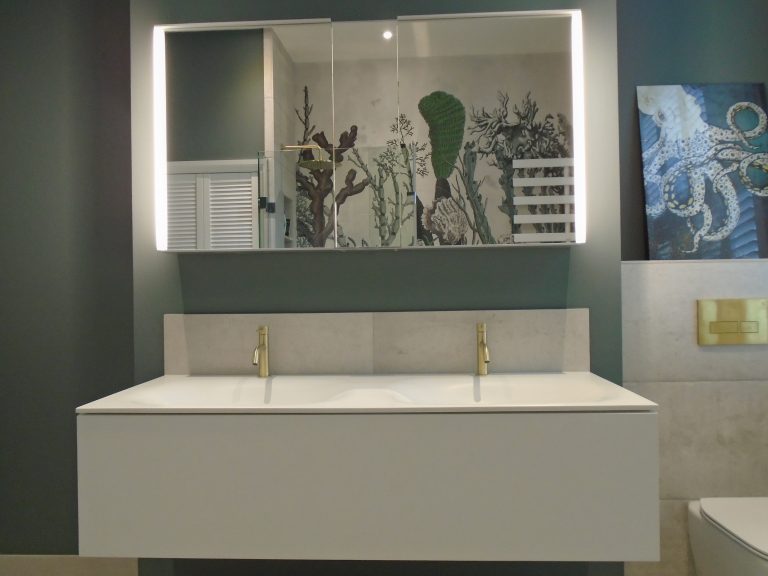 Double basin unit with mirror cabinet